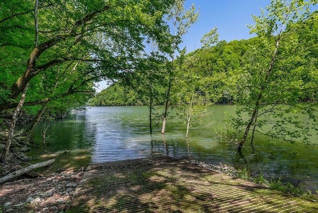 1103 Warren County Park Rd, Rock Island, TN 38581 - photo 27