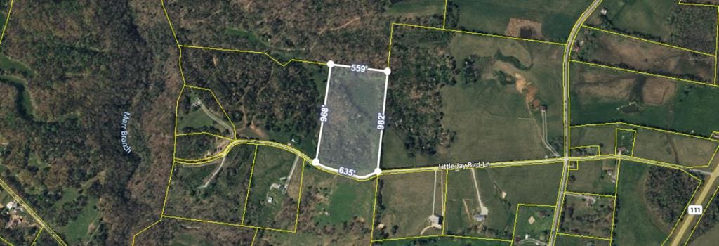 15AC Little Jaybird Ln, Monroe, TN 38573 - photo 1