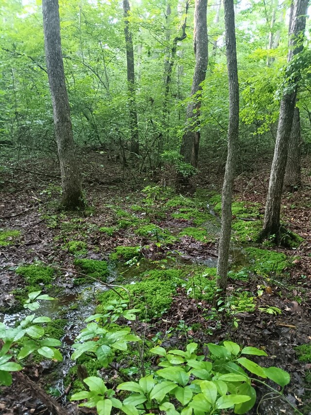 0 Cumberland Lakes Dr, Monterey, TN 38574 - photo 18
