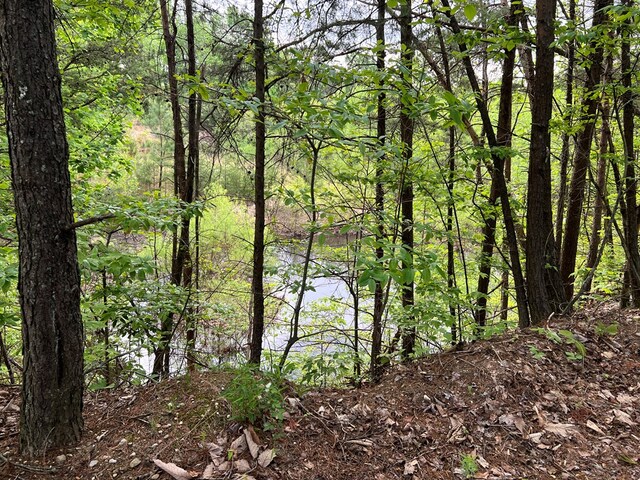 9550 Rocky Point Rd, Cookeville, TN 38506