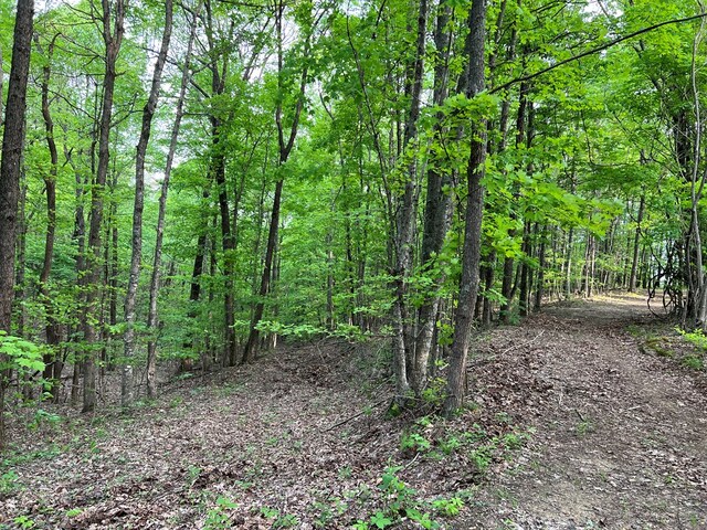 9550 Rocky Point Rd, Cookeville, TN 38506