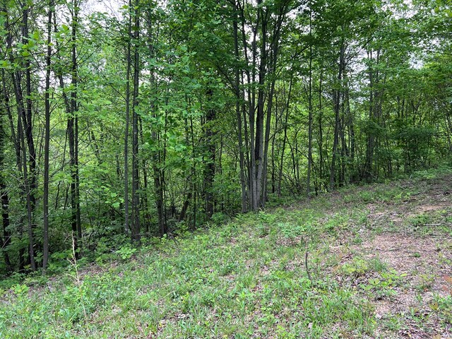 9550 Rocky Point Rd, Cookeville, TN 38506