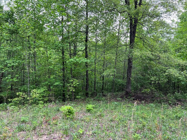 9550 Rocky Point Rd, Cookeville, TN 38506