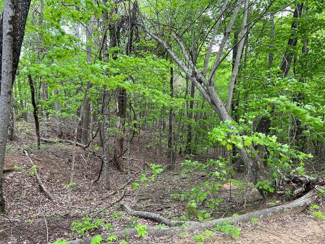 9550 Rocky Point Rd, Cookeville, TN 38506