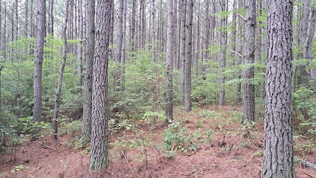 TRACT11 Airport Rd, Piney Creek Acres, Rockwood, TN 37854 - photo 27