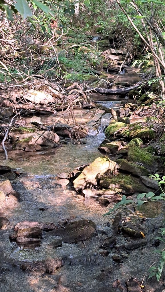 TRACT11 Airport Rd, Piney Creek Acres, Rockwood, TN 37854 - photo 6