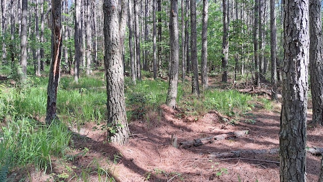 TRACT11 Airport Rd, Piney Creek Acres, Rockwood, TN 37854 - photo 15