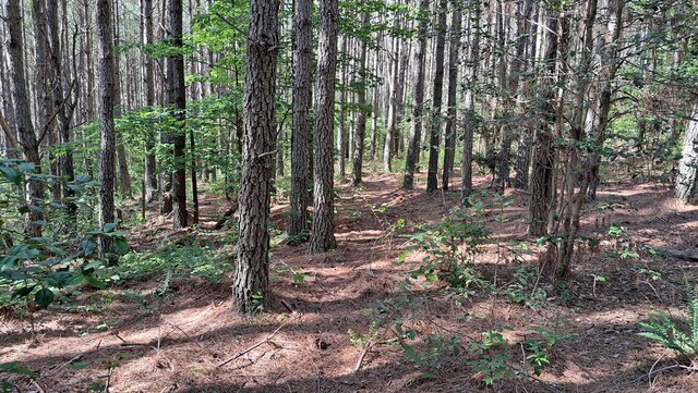 TRACT11 Airport Rd, Piney Creek Acres, Rockwood, TN 37854 - photo 5