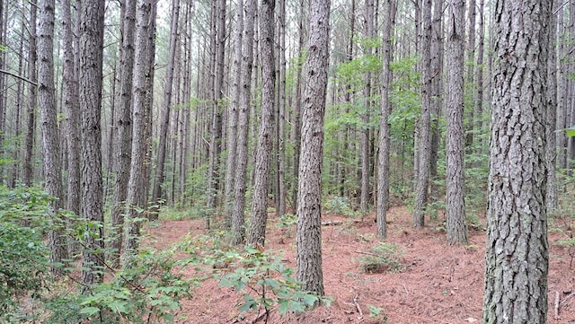TRACT11 Airport Rd, Piney Creek Acres, Rockwood, TN 37854 - photo 29