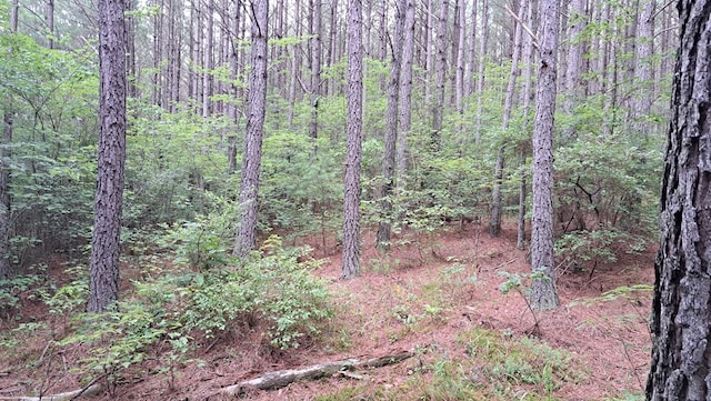 TRACT11 Airport Rd, Piney Creek Acres, Rockwood, TN 37854 - photo 28