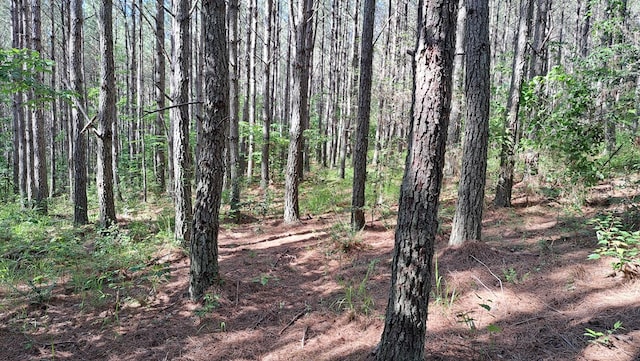 TRACT11 Airport Rd, Piney Creek Acres, Rockwood, TN 37854 - photo 14