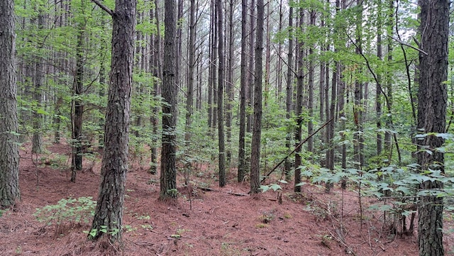 TRACT11 Airport Rd, Piney Creek Acres, Rockwood, TN 37854 - photo 23