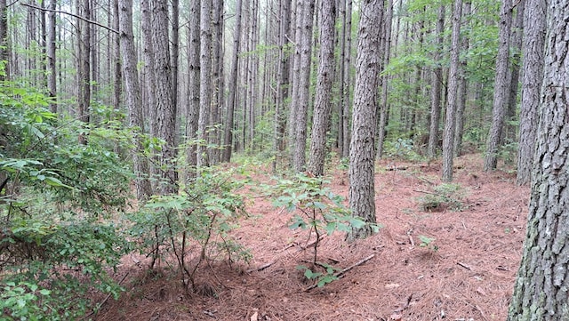 TRACT11 Airport Rd, Piney Creek Acres, Rockwood, TN 37854 - photo 9