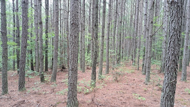 TRACT11 Airport Rd, Piney Creek Acres, Rockwood, TN 37854 - photo 8