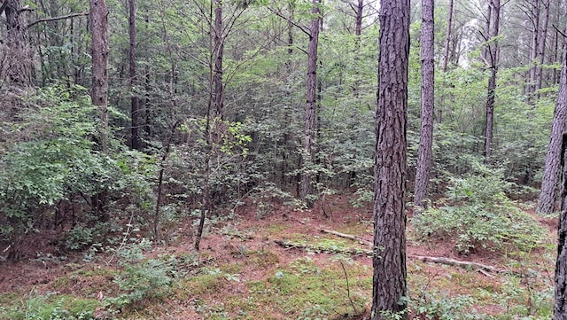 TRACT11 Airport Rd, Piney Creek Acres, Rockwood, TN 37854 - photo 22