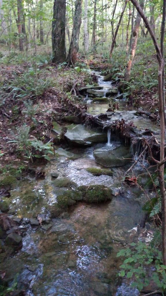 TRACT11 Airport Rd, Piney Creek Acres, Rockwood, TN 37854 - photo 1