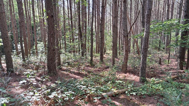 TRACT11 Airport Rd, Piney Creek Acres, Rockwood, TN 37854 - photo 21