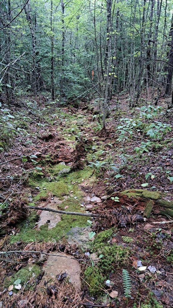 TRACT11 Airport Rd, Piney Creek Acres, Rockwood, TN 37854 - photo 26