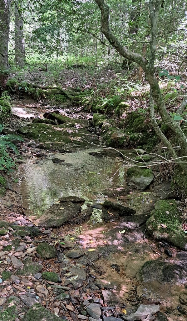 TRACT11 Airport Rd, Piney Creek Acres, Rockwood, TN 37854 - photo 18