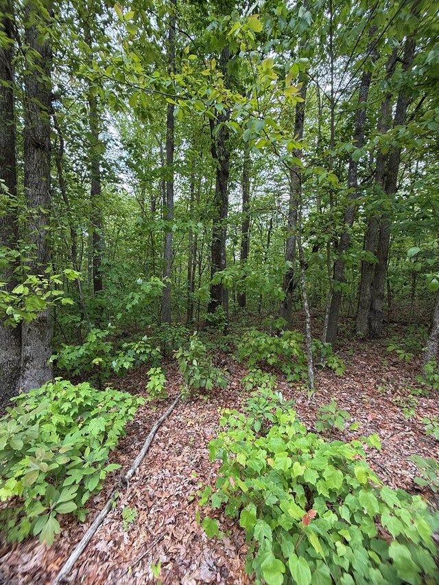 LOT12 Bow Rd, Monterey, TN 38574