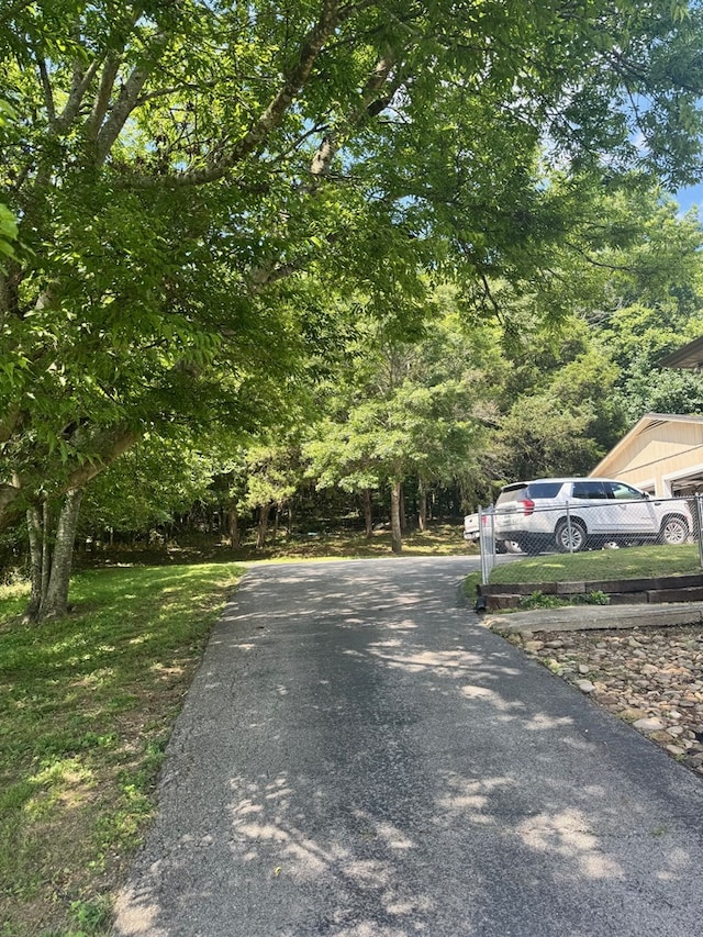 641 Carmack Ave, Carthage, TN 38563 - photo 5