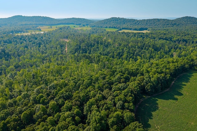 2257 Thorn Gap Rd, Cookeville, TN 38506 - photo 12