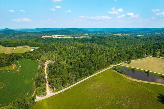 2257 Thorn Gap Rd, Cookeville, TN 38506 - photo 2