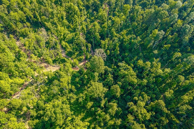 2257 Thorn Gap Rd, Cookeville, TN 38506 - photo 15