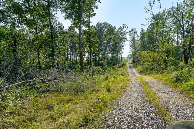 2257 Thorn Gap Rd, Cookeville, TN 38506 - photo 16