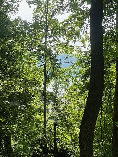 0 Oak Hill Rd, Byrdstown, TN 38549