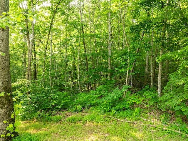 0 Oak Hill Rd, Byrdstown, TN 38549