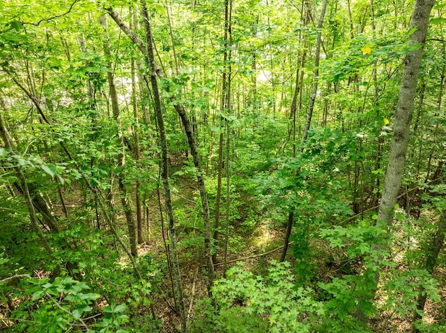 0 Oak Hill Rd, Byrdstown, TN 38549
