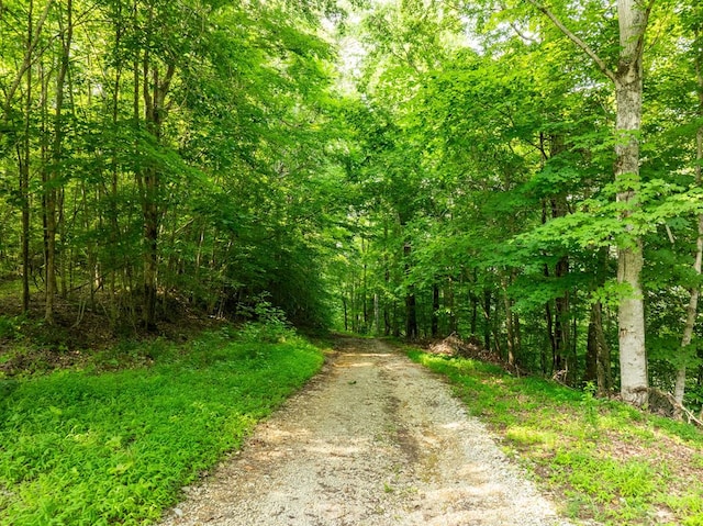 0 Oak Hill Rd, Byrdstown, TN 38549