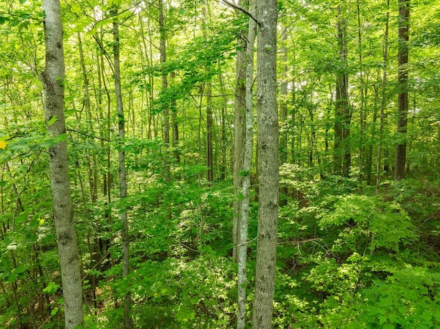 0 Oak Hill Rd, Byrdstown, TN 38549