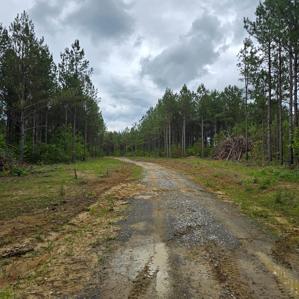 LOT15 Holly Woods, Robbins, TN 38562 - photo 1
