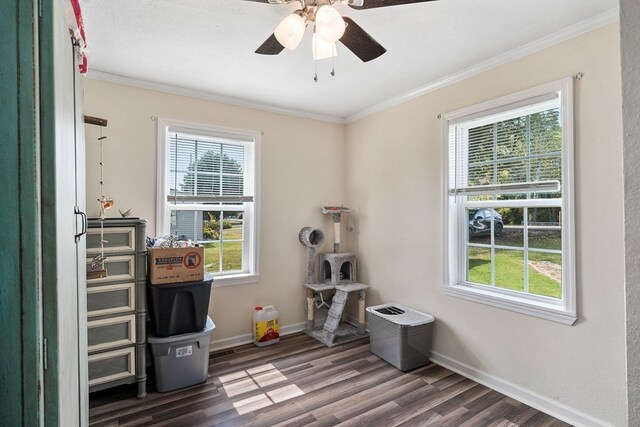 interior space with baseboards, ornamental molding, ceiling fan, and dark wood-type flooring