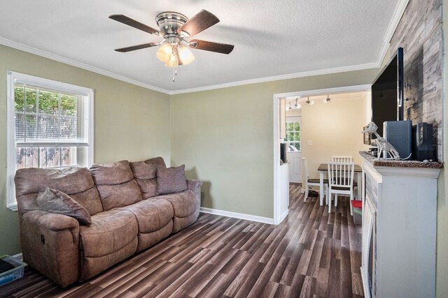 living area featuring a healthy amount of sunlight, ornamental molding, dark wood finished floors, and a textured ceiling