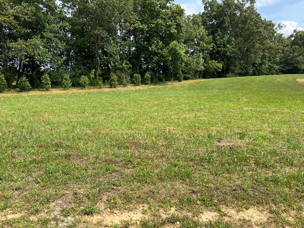 3010 Westowne Cir, Cookeville, TN 38501 - photo 1