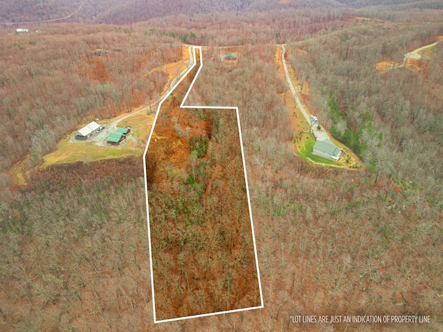 Listing photo 2 for 10AC Bear Knob Ln, Crawford TN 38554