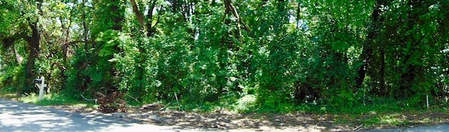1135 Dowell St, Cookeville, TN 38501 - photo 7