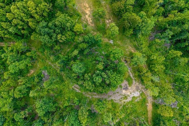 82AC N Linder Mountain Rd, Monroe, TN 38570