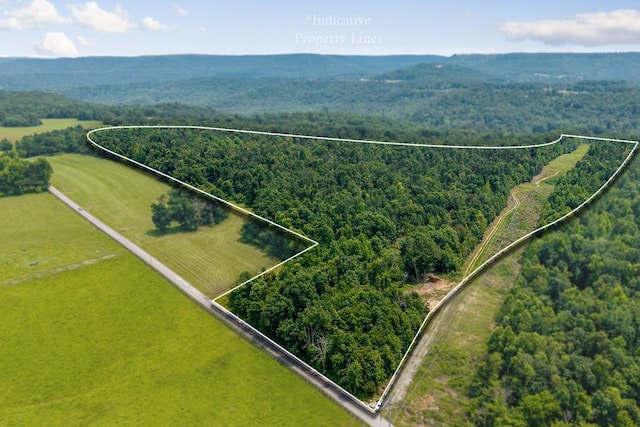 82AC N Linder Mountain Rd, Monroe, TN 38570