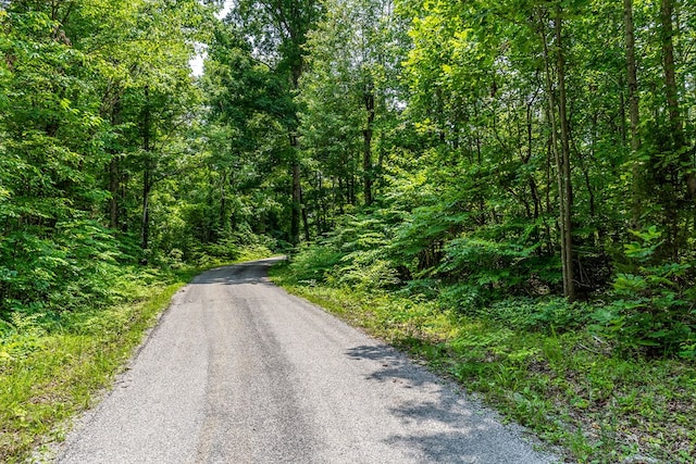 82AC N Linder Mountain Rd, Monroe, TN 38570