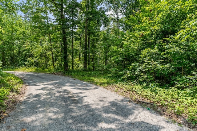 82AC N Linder Mountain Rd, Monroe, TN 38570