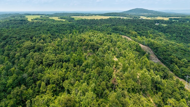 82AC N Linder Mountain Rd, Monroe, TN 38570