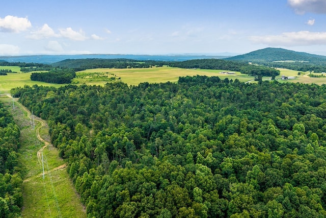 82AC N Linder Mountain Rd, Monroe, TN 38570