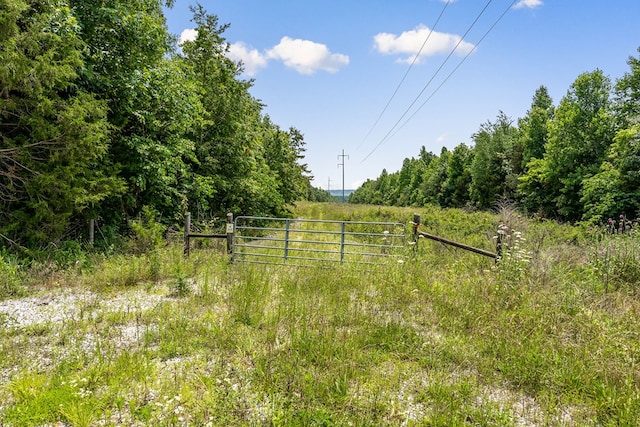 82AC N Linder Mountain Rd, Monroe, TN 38570
