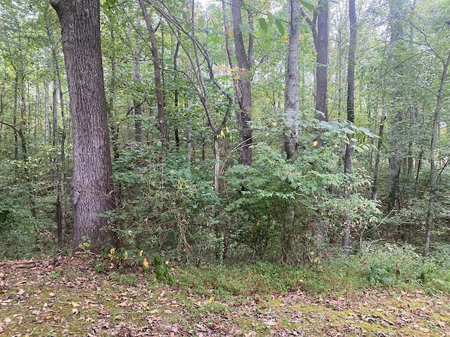 TBD Vaughn Lane, Livingston, TN 38570 - photo 31