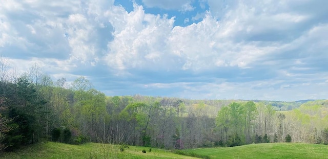 TBD Vaughn Lane, Livingston, TN 38570 - photo 3