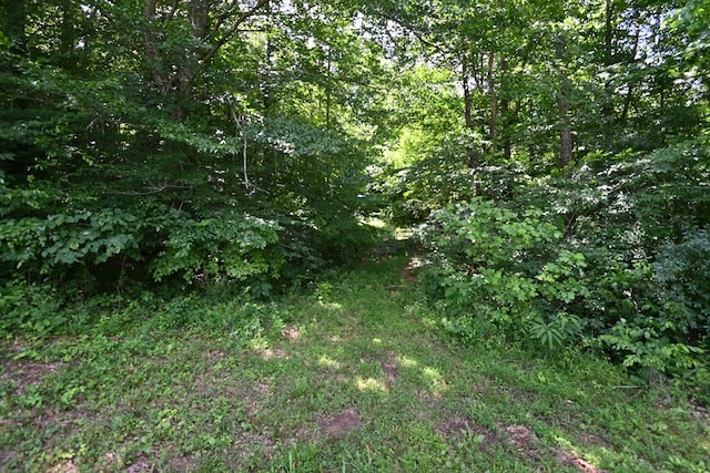 TBD Vaughn Lane, Livingston, TN 38570 - photo 11